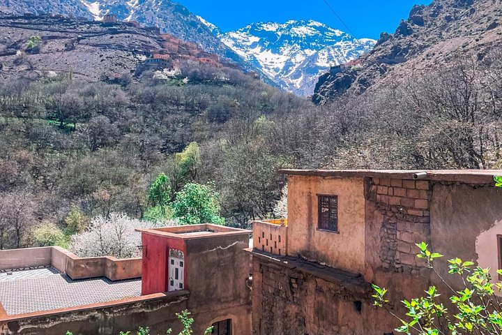 Day Trip to the Atlas Mountains with Panoramic Views of Mount Toubkal