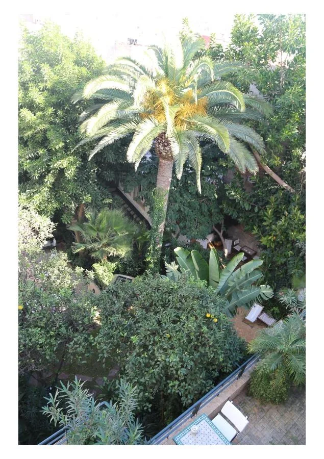 Jardin — La Maison de Tanger