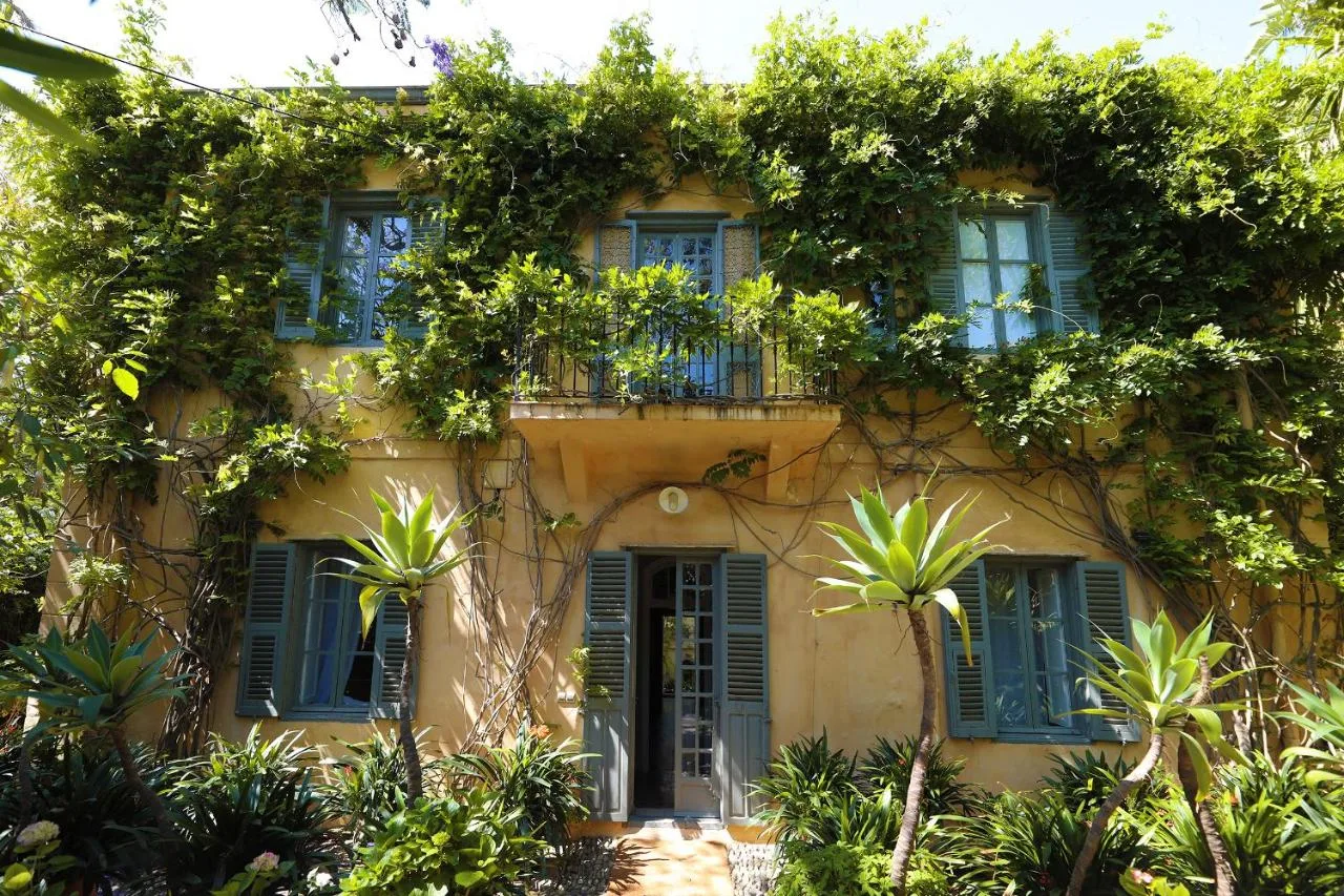 Fassade — Mimi Calpe
