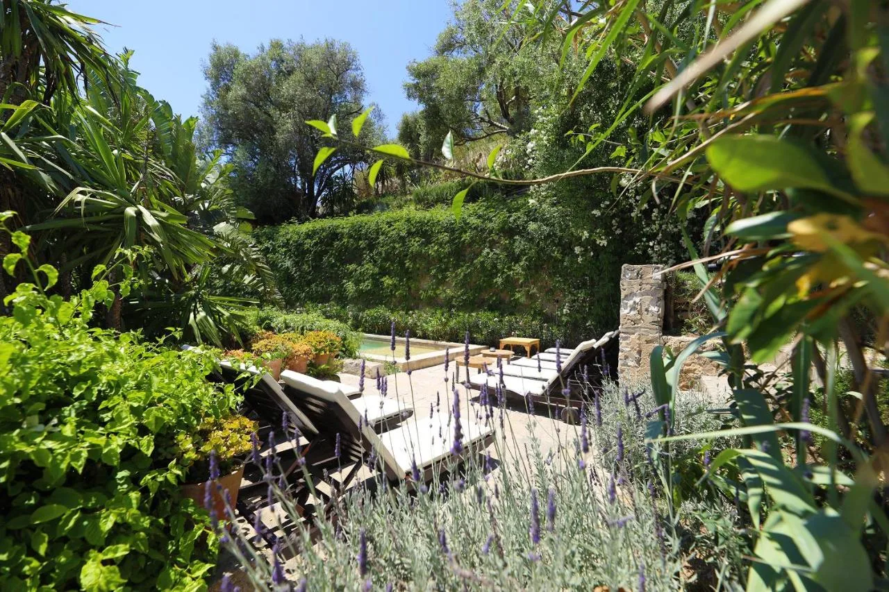 Garten — Mimi Calpe