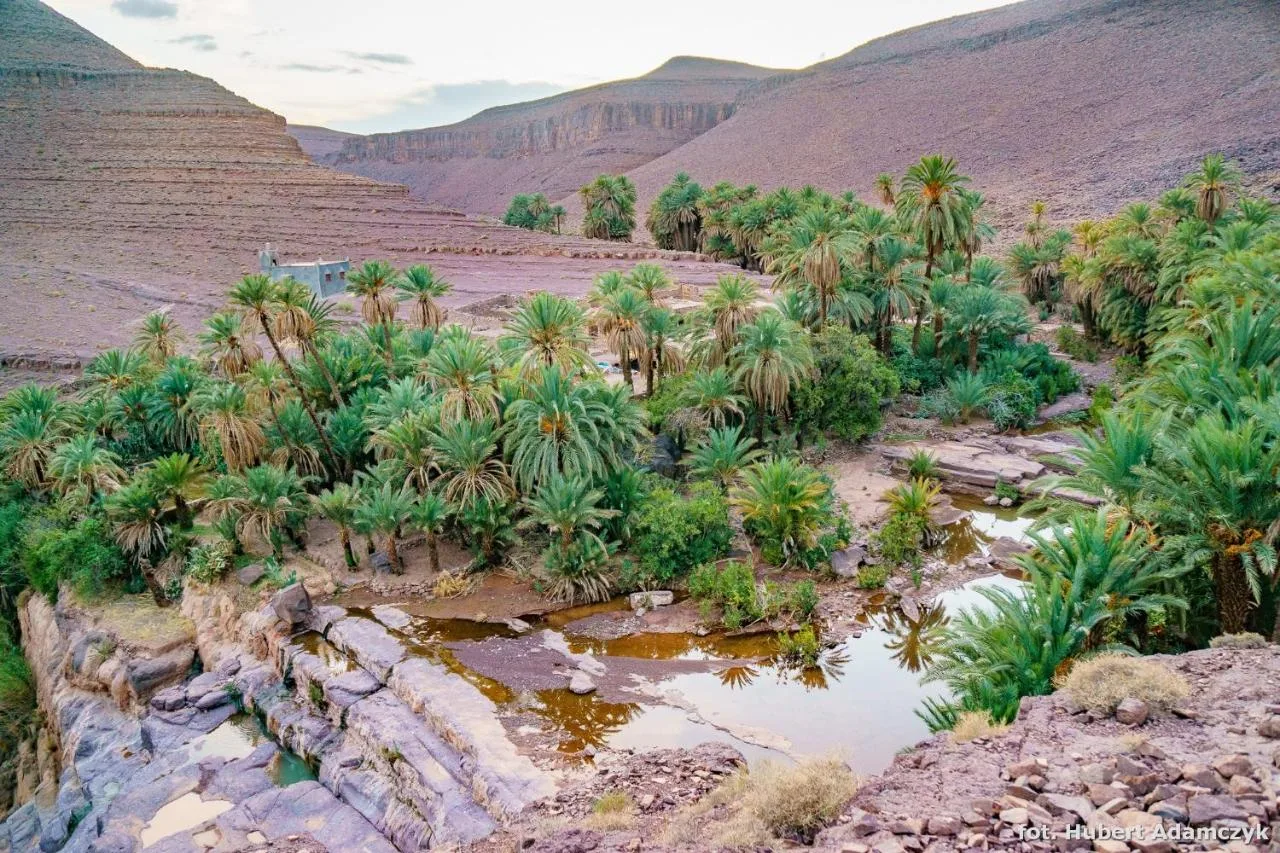 Vue sur l'oasis — Ouednoujoum Ecolodge & Spa
