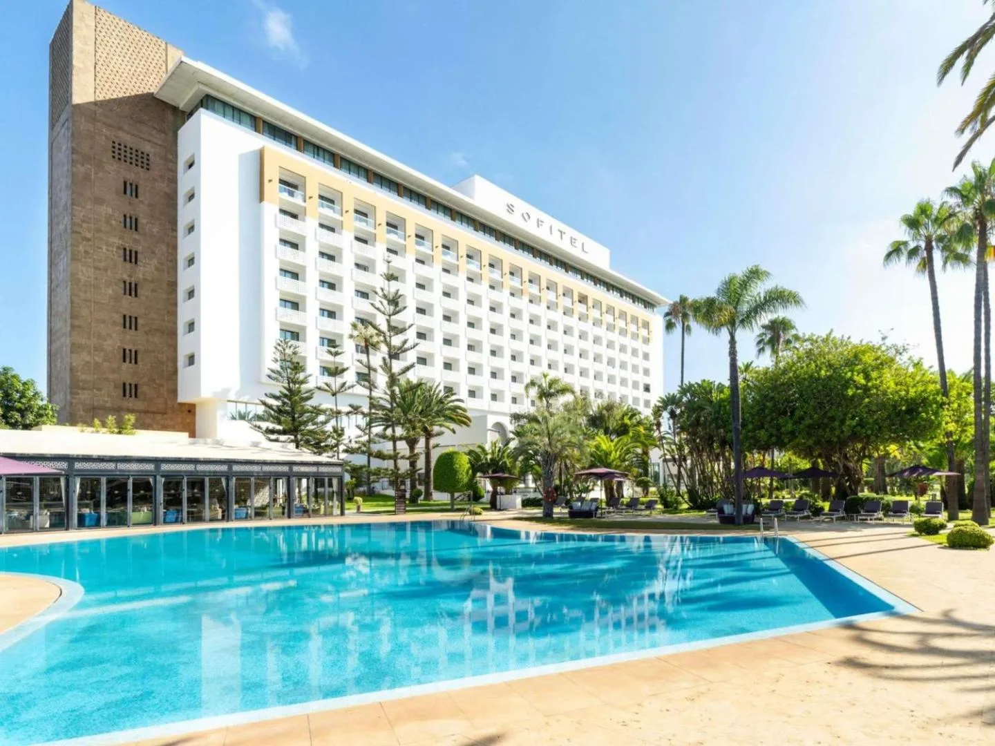 Pool of the Sofitel Rabat Jardin des Roses at the foot of the hotel, surrounded by palm trees under a blue sky