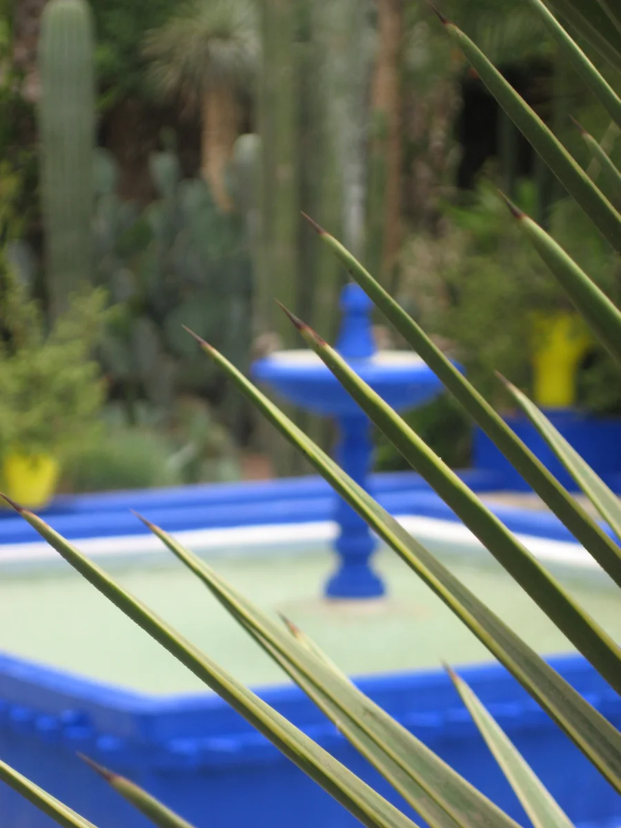 Jardin Majorelle
