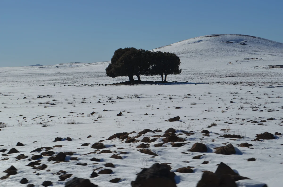 Paisaje nevado cerca de Ifrane en el Medio Atlas de Marruecos