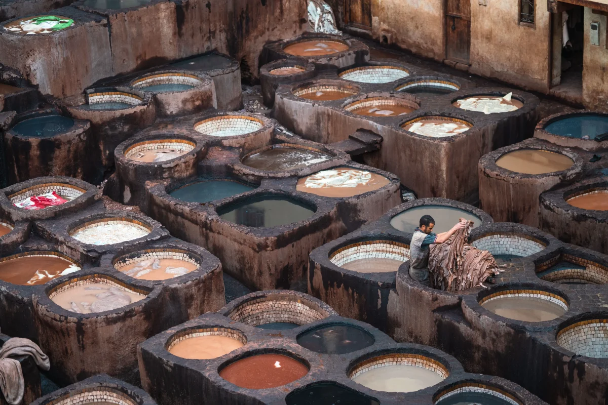 tanneries chouara, fes