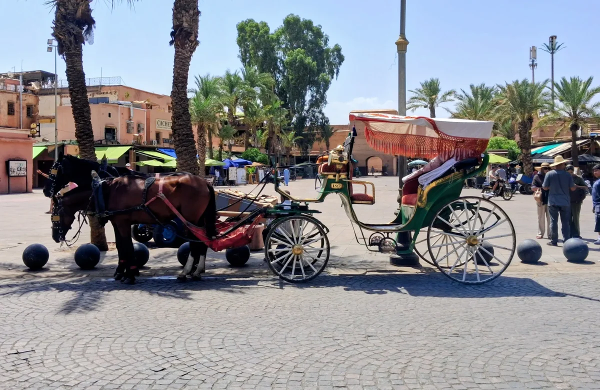 Pferdekutschen im Viertel der Ferblantiers in Marrakesch