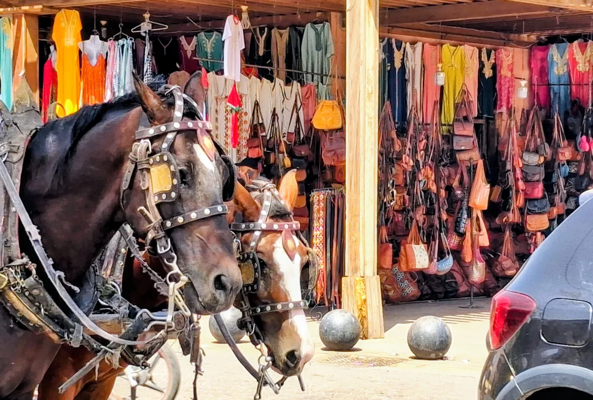 Que visiter au Maroc ? Le guide ultime du patrimoine marocain