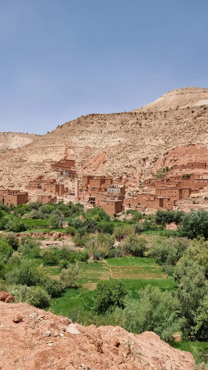 Oasis de Fint